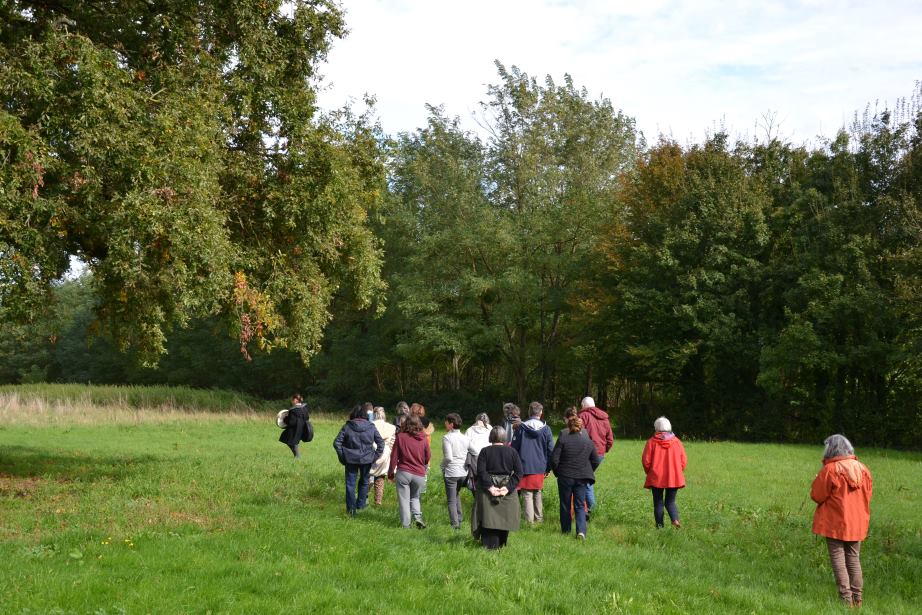 groupe marchant dans l'herbe et vers une foret symbolisant le lien de l'homme à la nature